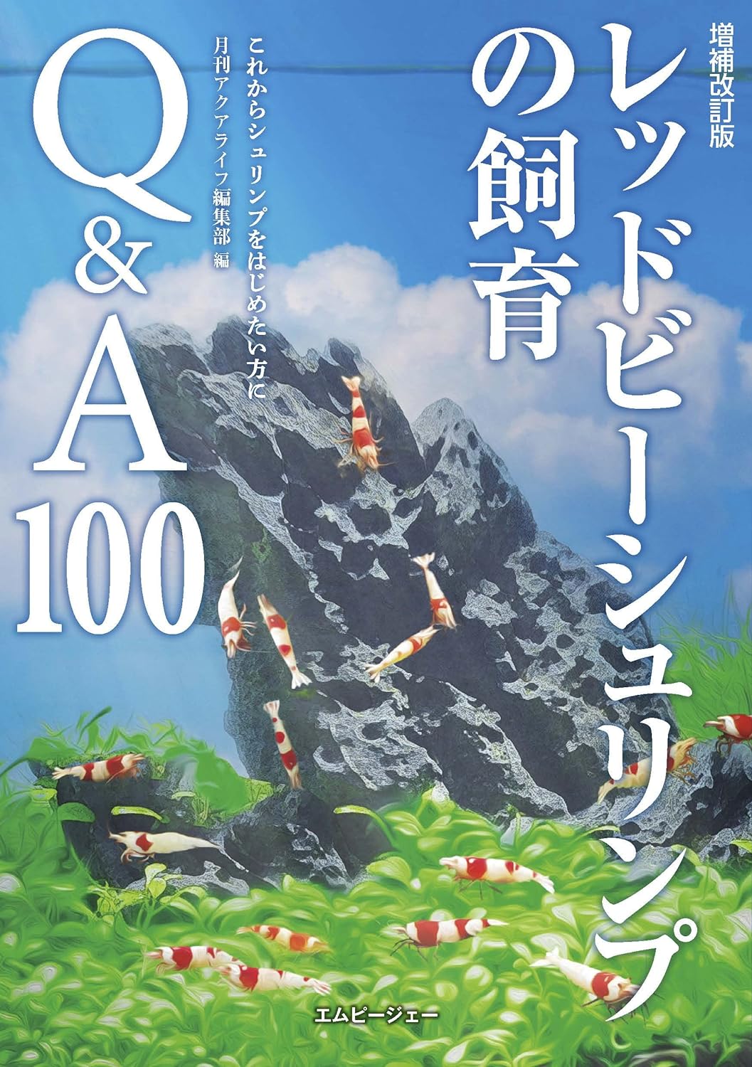 レッドビーシュリンプの飼育や繁殖に初挑戦!